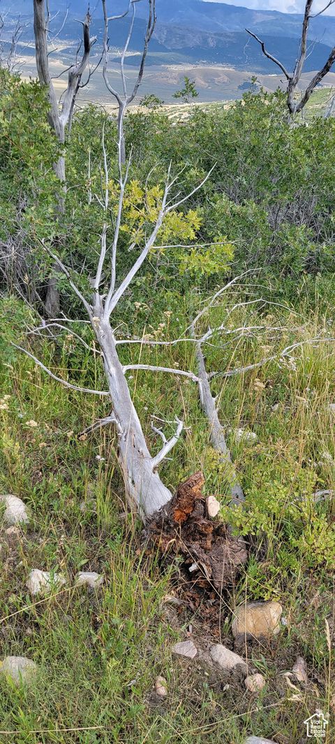 Tiny photo for 16 N Q PUMA RD W #Q-16, Indianola, UT 84629 (MLS # 2072318)