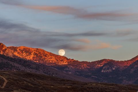 Tiny photo for 14749 S SPRINGTIME RD #620, Draper (UT Cnty), UT 84020 (MLS # 2122582)