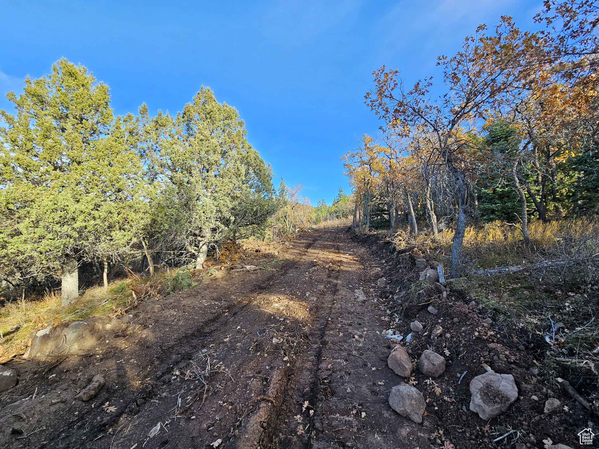 13 Pine Crest Dr #13, Mt Pleasant, Utah image 9