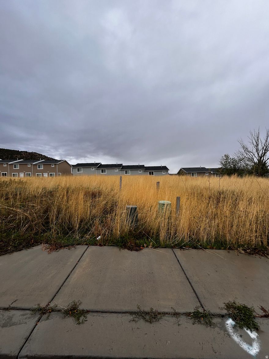 Build your dream home on this 0.18 acre lot in the charming town of Nephi! Enjoy beautiful mountain views and peaceful small-town living, with close access to I-15 and Utah County. Bring your own builder or work with the seller to create the perfect home for your needs. Feel free to visit the lot anytime, or schedule a showing to review lot boundaries.