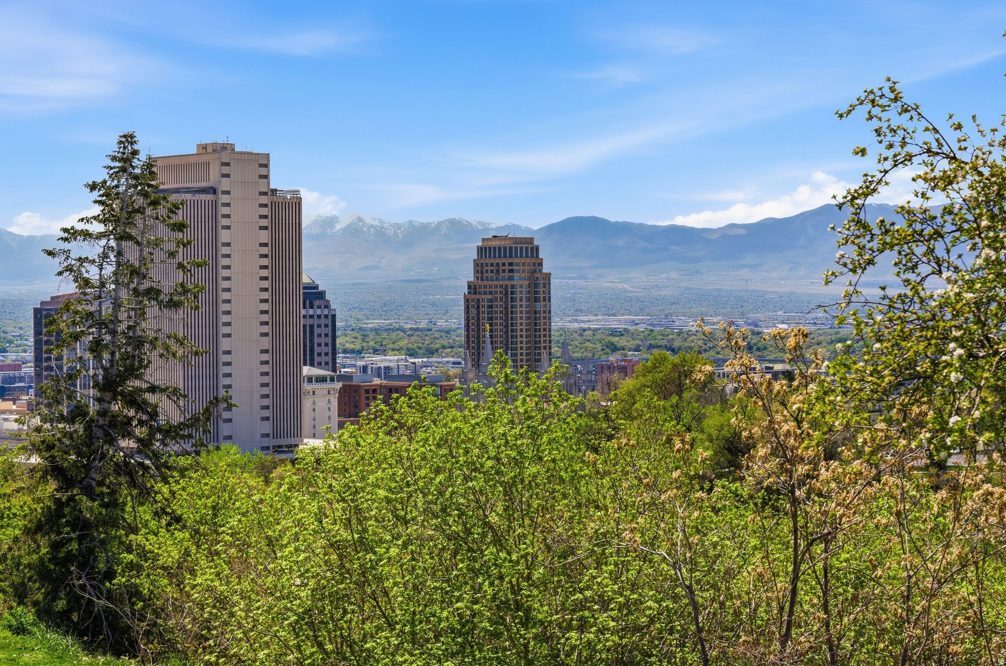 THE AVENUES - Residential