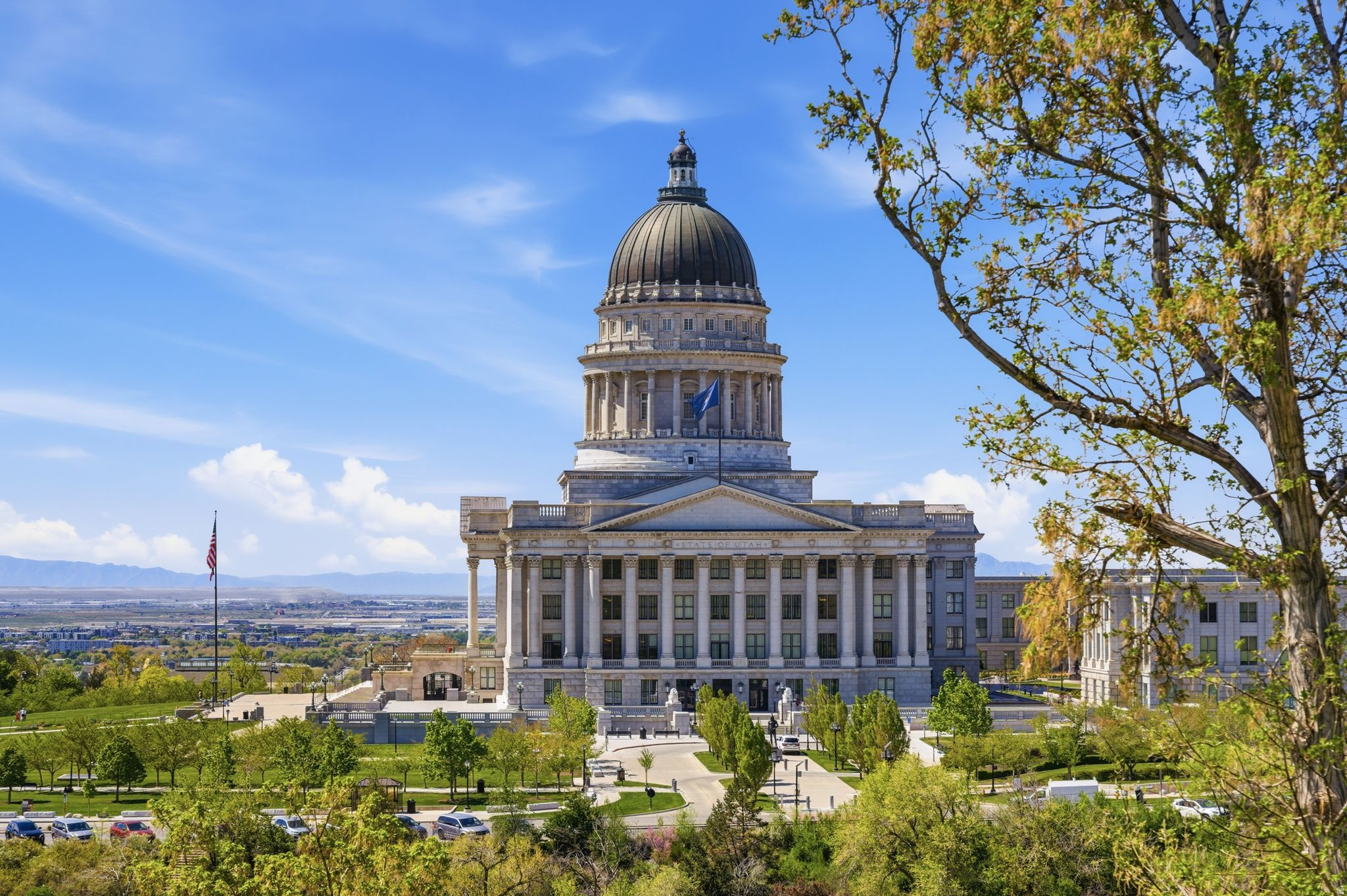 THE AVENUES - Residential