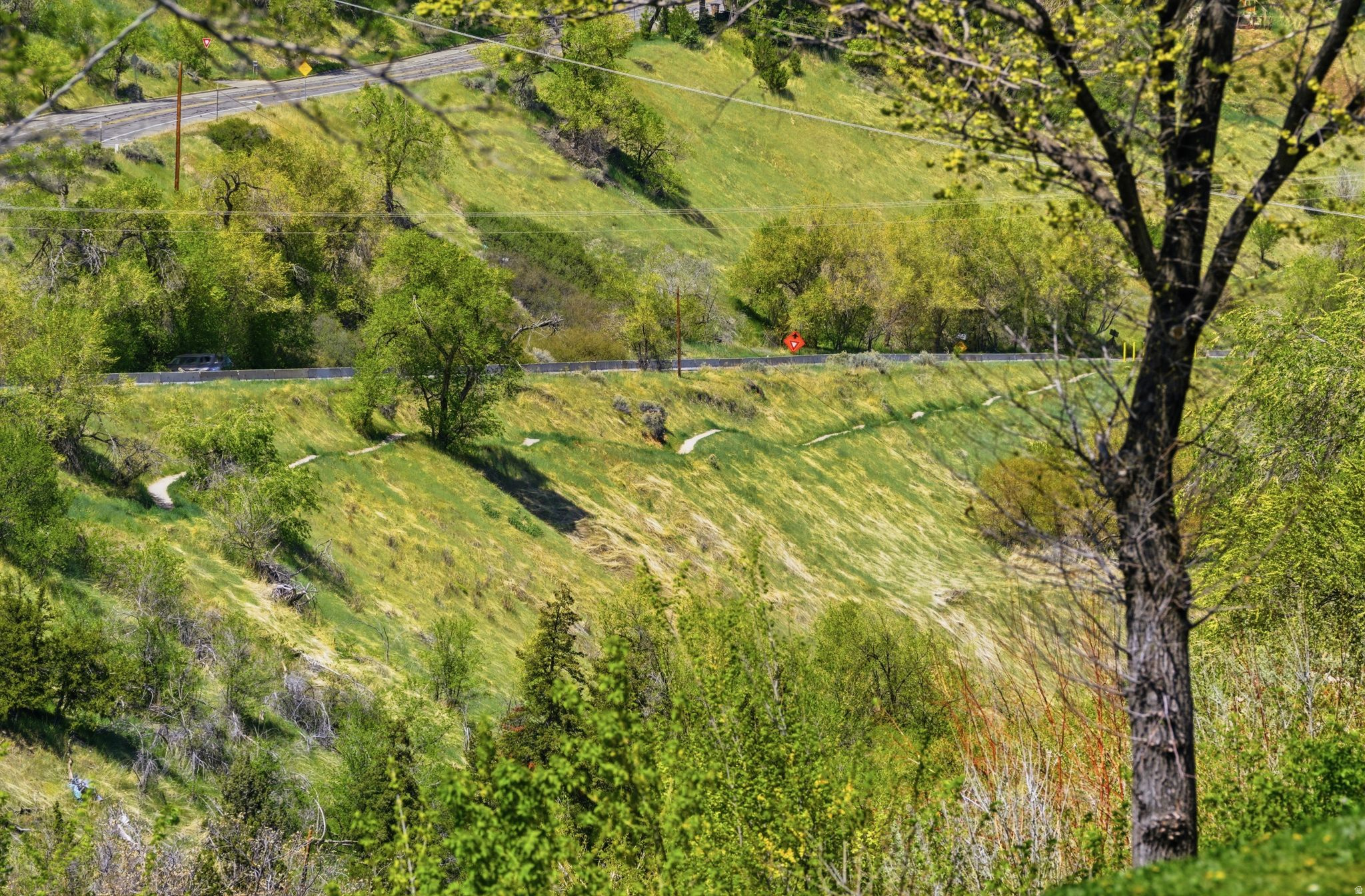 THE AVENUES - Residential