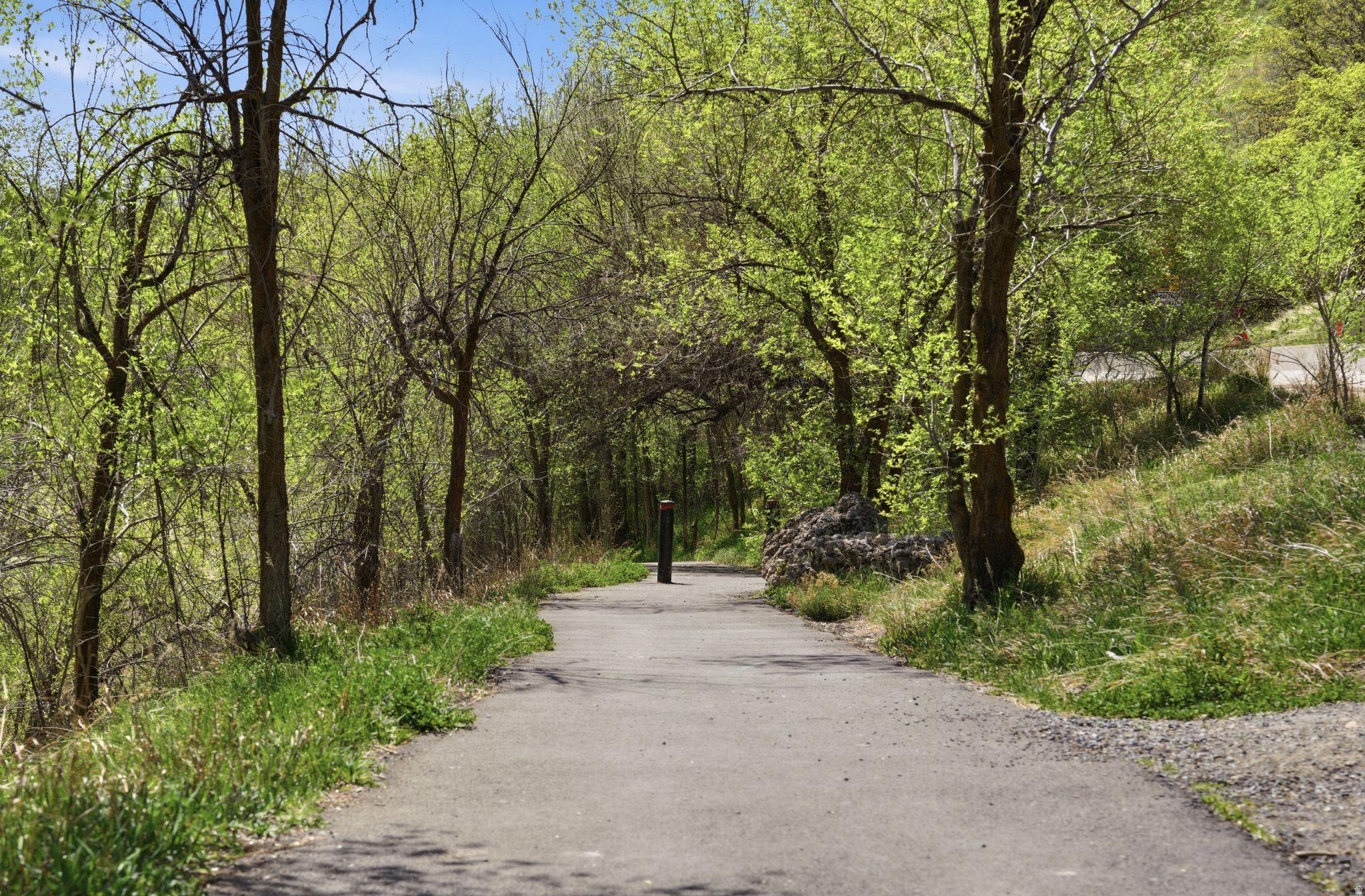 THE AVENUES - Residential