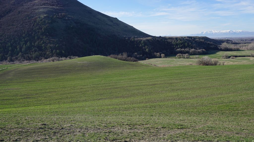 Photo of Preston, ID 83263 (MLS # 2145117)