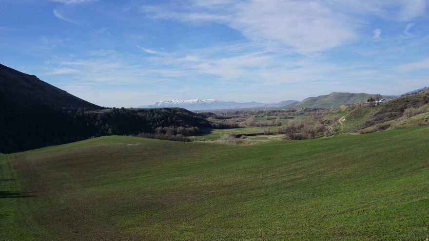 Perched in the heart of Cub River Canyon, this prime 13-acre parcel offers a front-row seat to nature. Experience breathtaking, unobstructed views that stretch across the canyon walls and sweep down into the lush valley below. Whether you are looking for a secluded homesite or a private recreational retreat, this land provides the ultimate backdrop of rugged Idaho beauty.  If buyer wants to build on property they will need to drill a well and put in septic. Power is already along front of property.