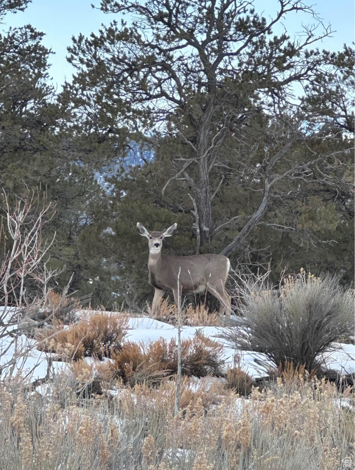 Land, Duchesne, Utah image 6