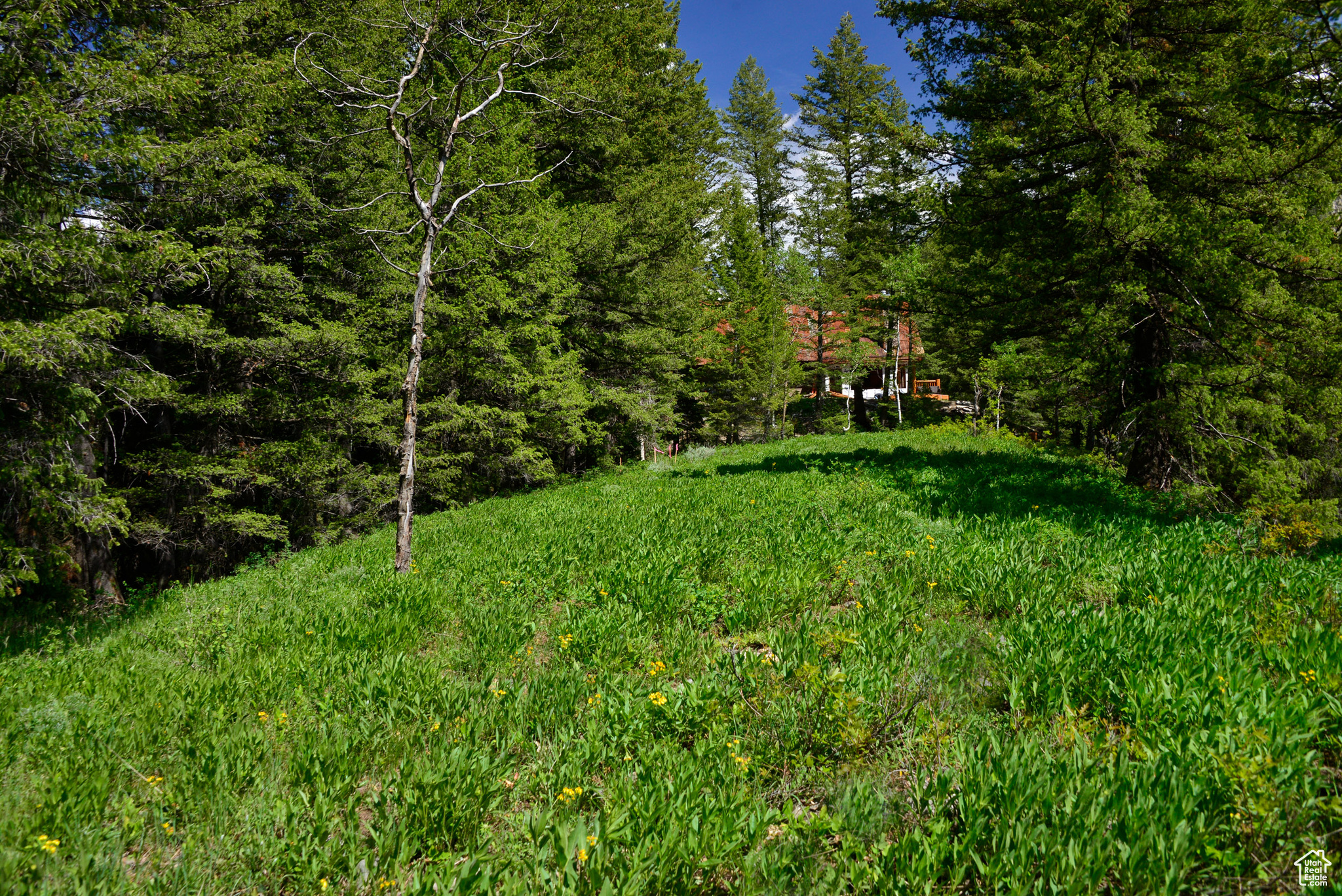 9380 E Kessler View Ln, Salt Lake City, Utah image 11