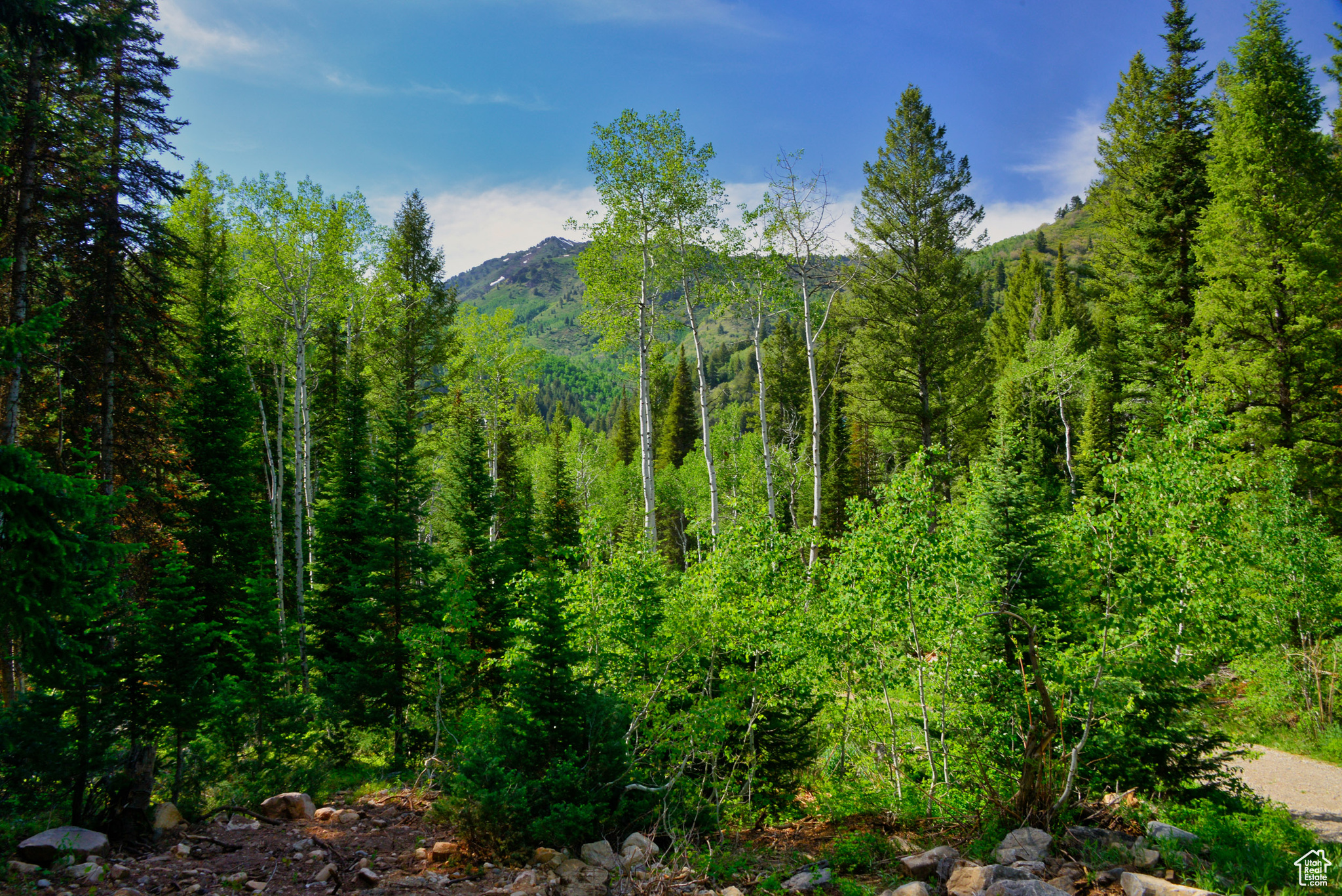 9380 E Kessler View Ln, Salt Lake City, Utah image 2