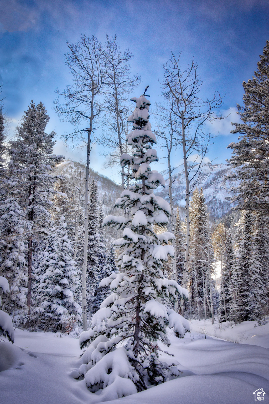 9380 E Kessler View Ln, Salt Lake City, Utah image 22