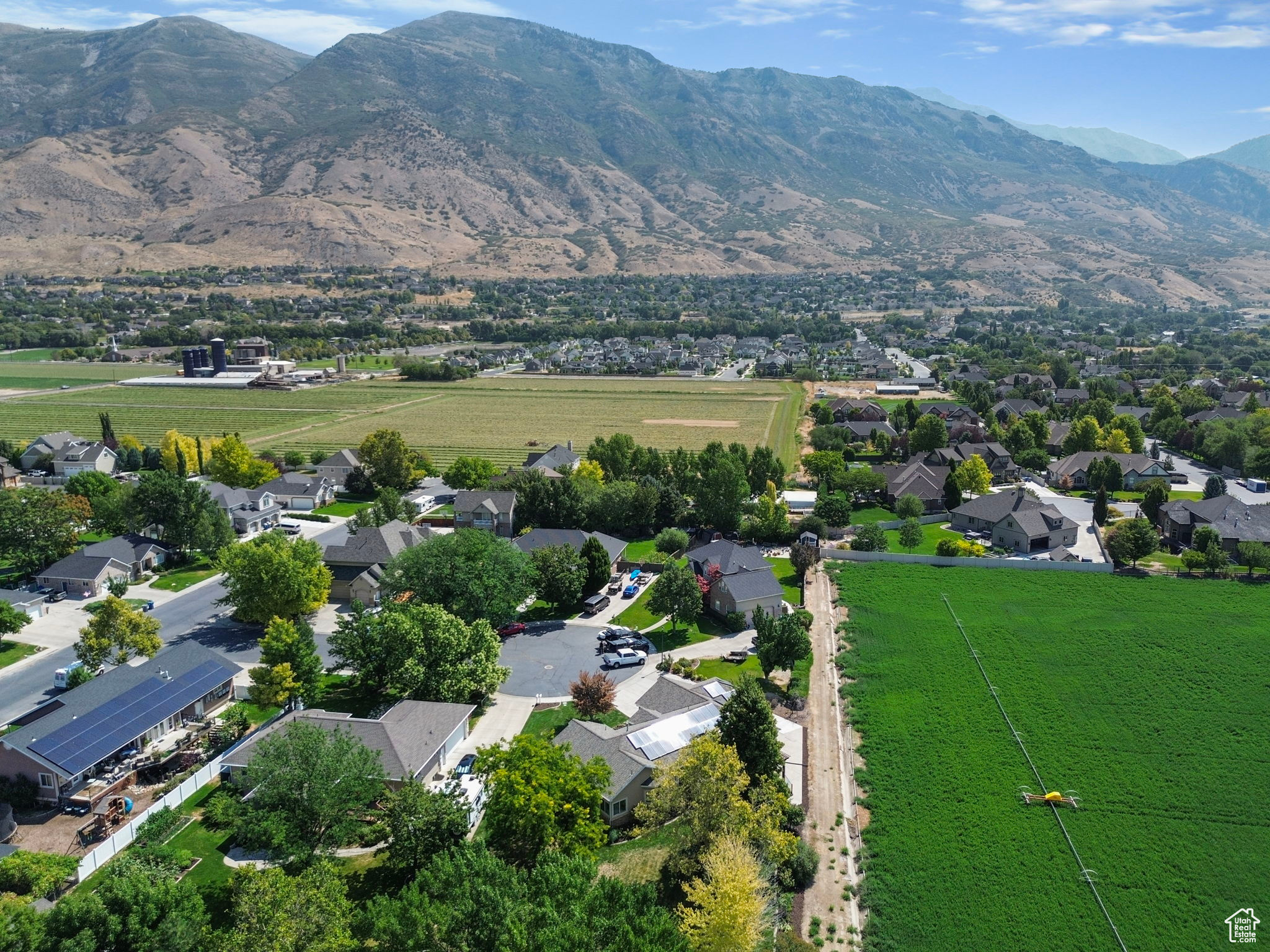 TIMPANOGOS ESTATES - Residential