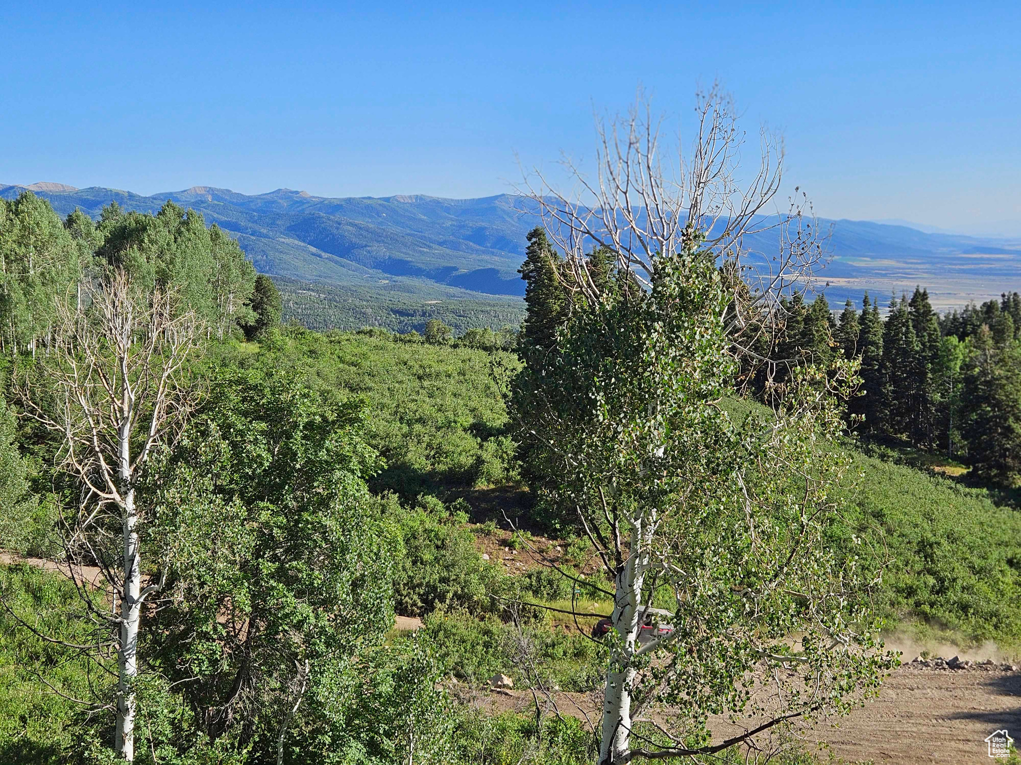 SKYLINE MOUNTAIN RES - Land