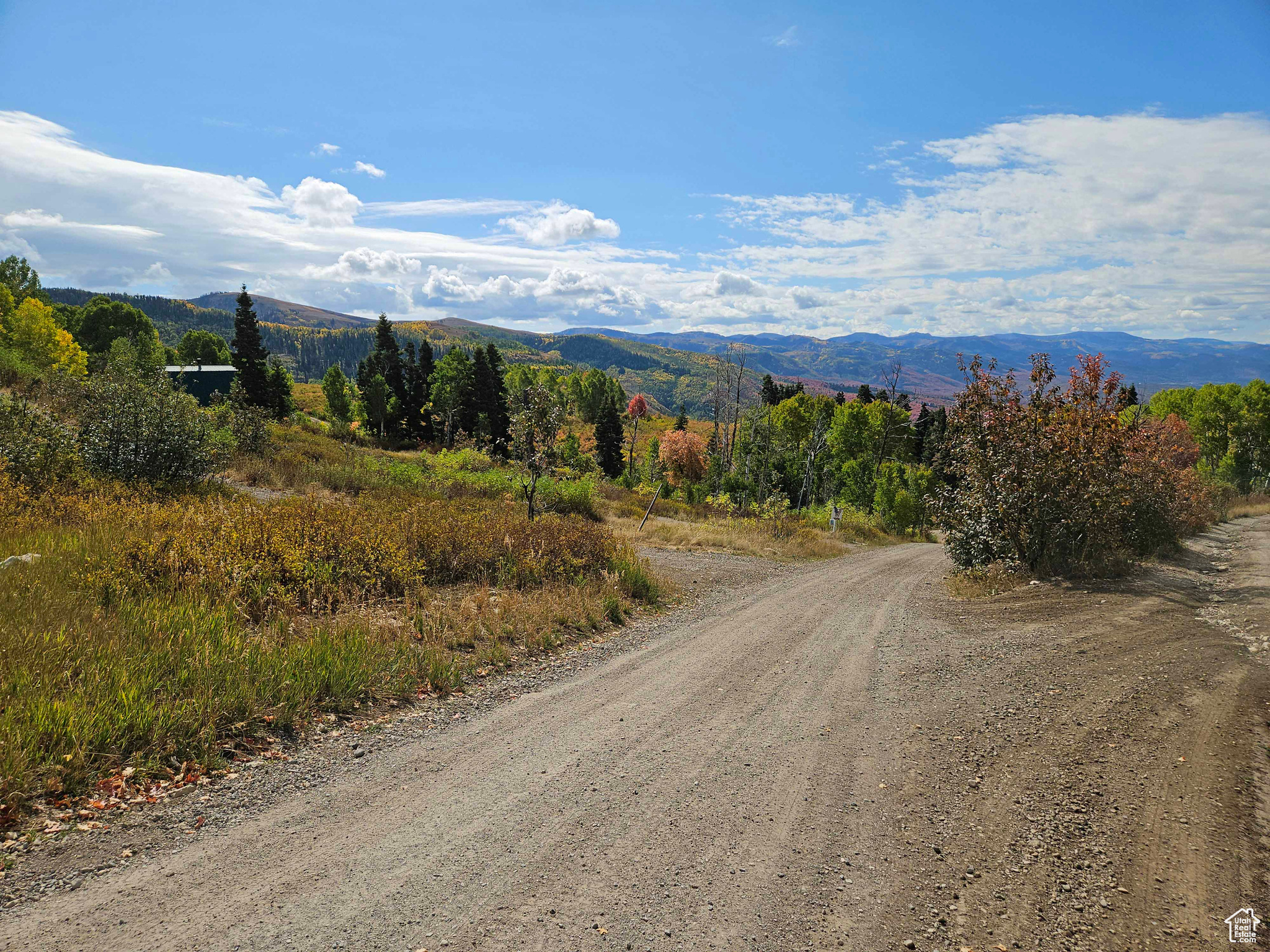 SKYLINE MOUNTAIN RES - Land