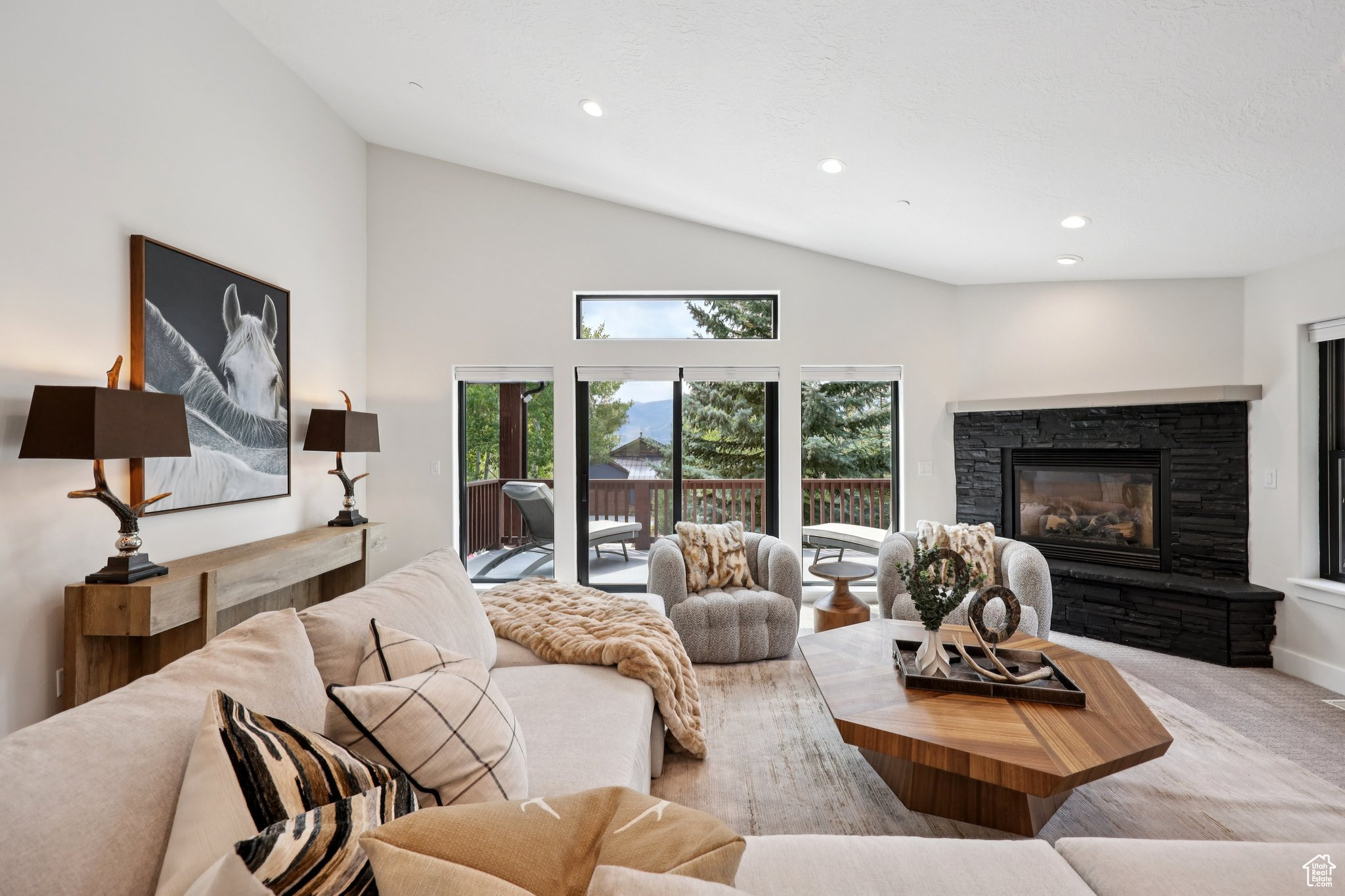 DEER MOUNTAIN RESORT - Residential