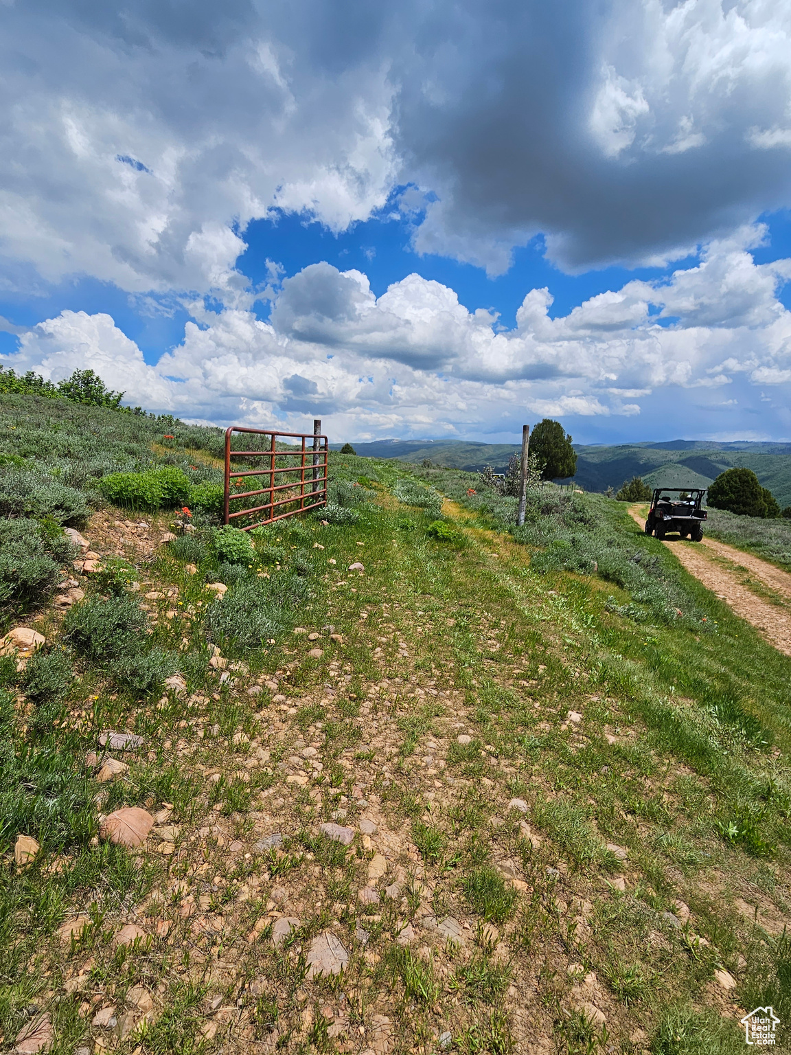 3388 North Oak Cyn #526, Huntsville, Utah image 11