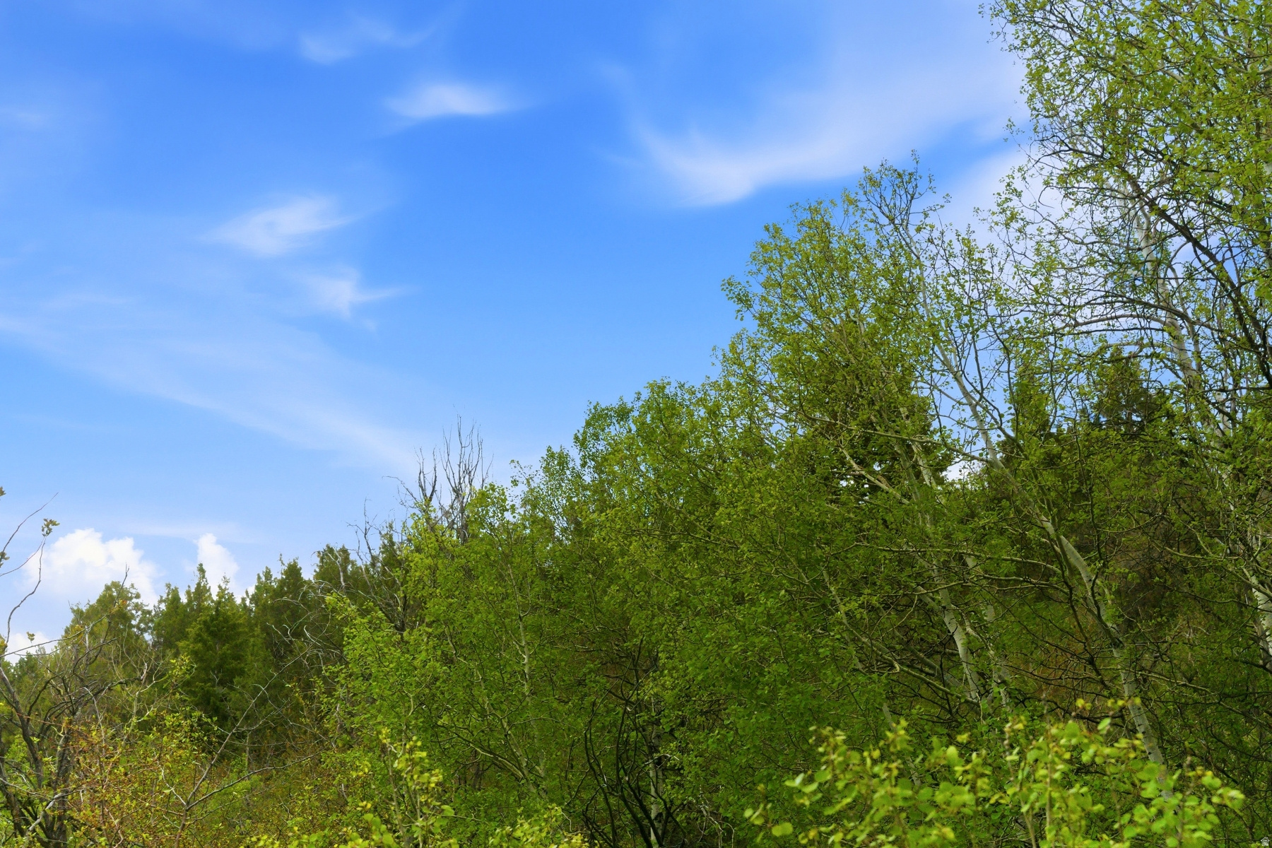 SAMAK COUNTRY ESTATES - Land