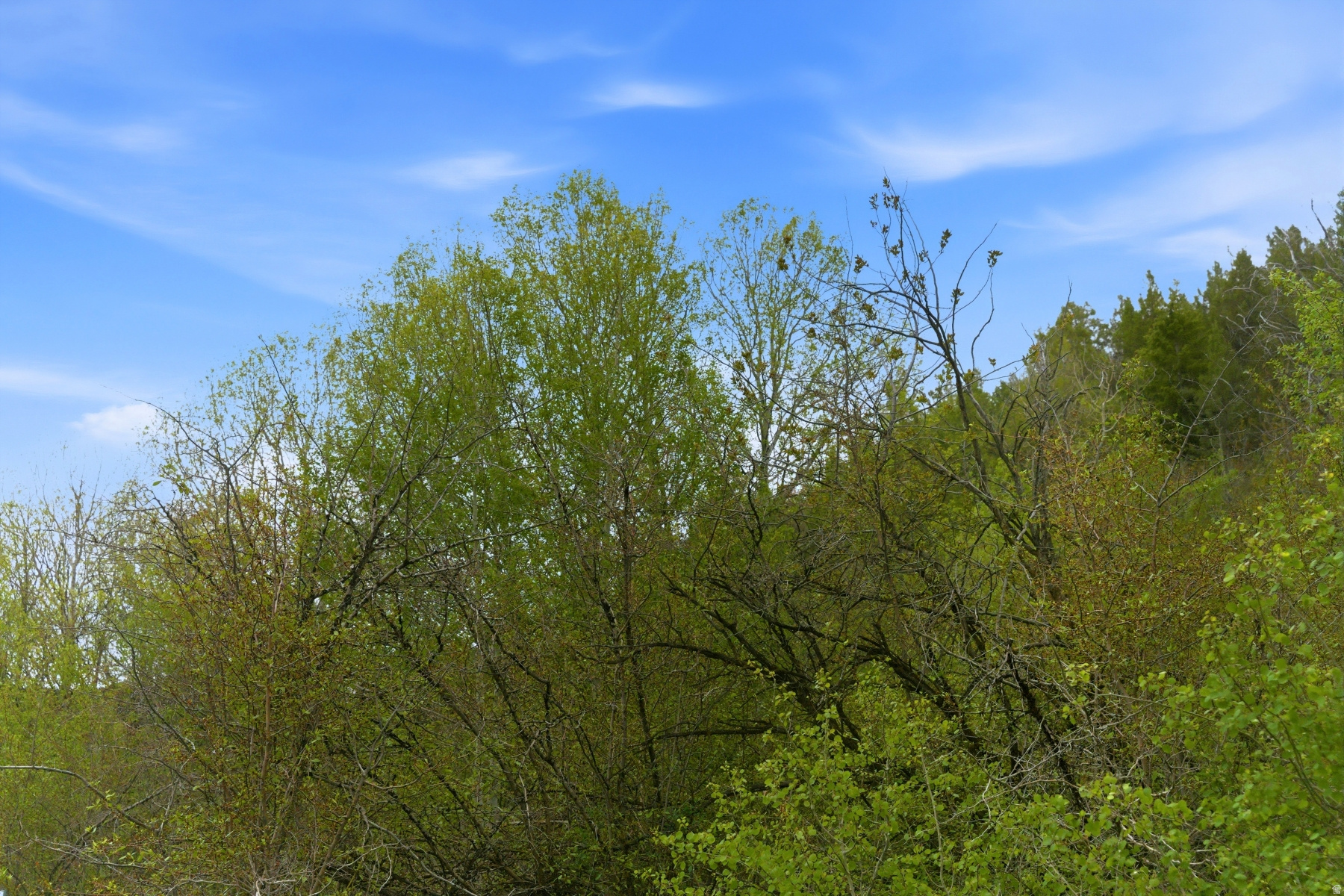 SAMAK COUNTRY ESTATES - Land