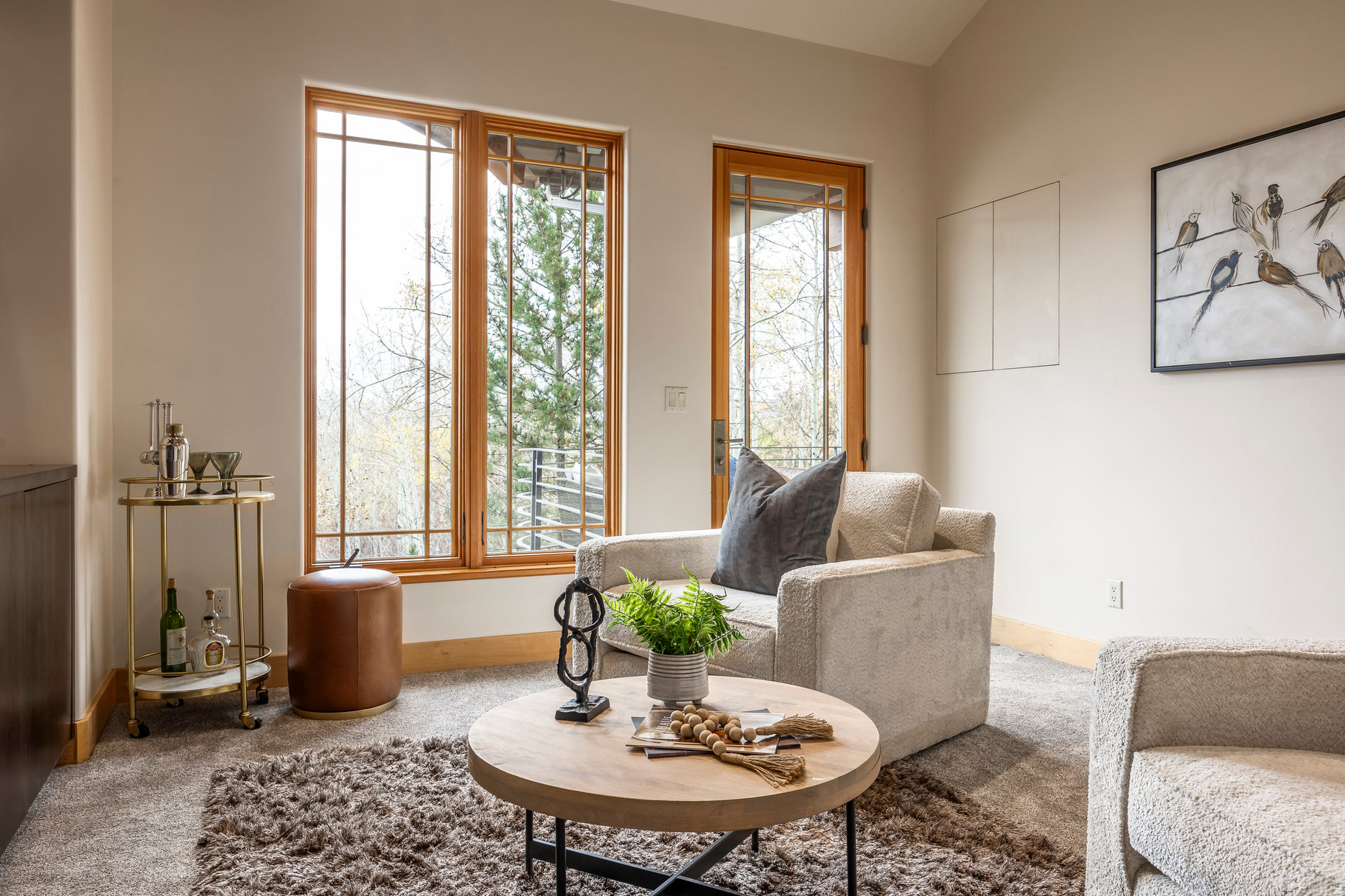 ASPEN SPRINGS RANCH SUBDIVISION - Residential