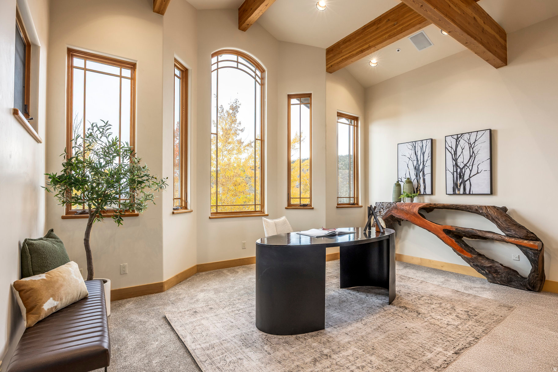 ASPEN SPRINGS RANCH SUBDIVISION - Residential