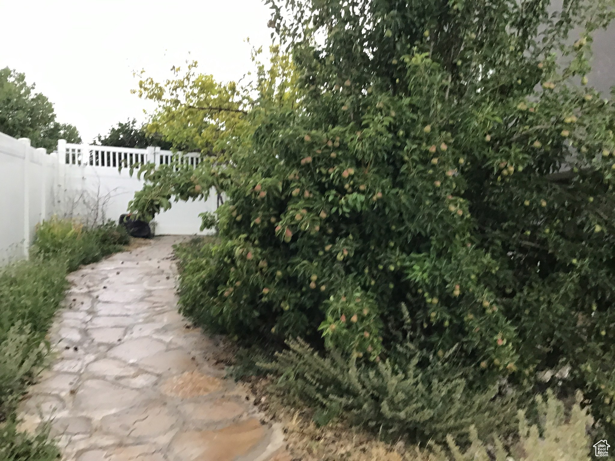 SUNRISE MEADOWS - Residential