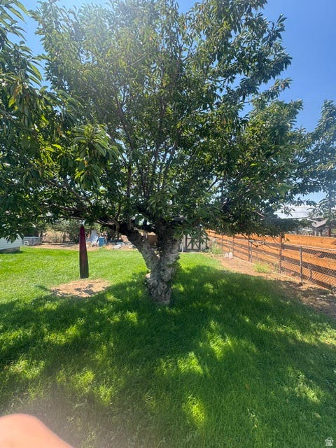 Tiny photo for 118 SHUMAN ST, East Carbon, UT 84520 (MLS # 2176063)