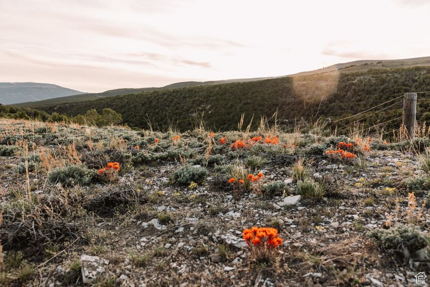What a find!  Almost 300 acres on Taylor Mountain with water rights. Live off the grid with only BLM, Forest and State Trust Lands around you. Other properties available from the same seller-MLS #2083736 is 239.92 acres with water rights and MLS #2083738 is 71.87 acres.