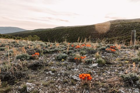 Vacant Land For Sale - 3895 W 9000 #1,2,3,<br/> Vernal, UT 84078