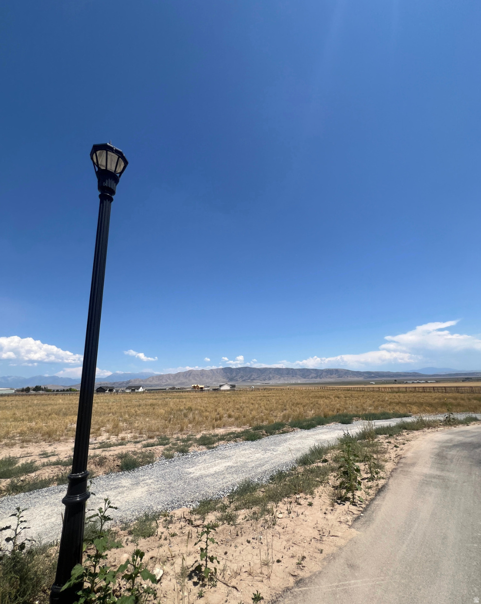 FIREFLY RACHES - Land