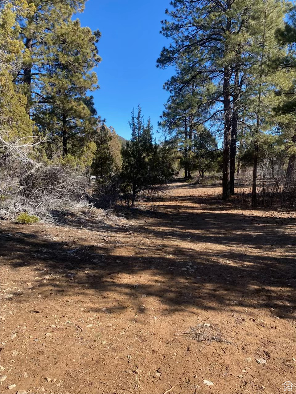 15 Pine #15, Orderville, Utah image 4