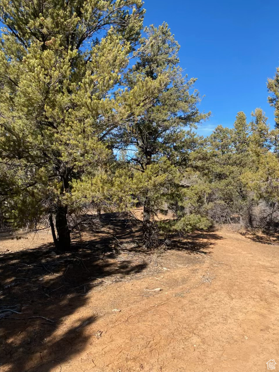 15 Pine #15, Orderville, Utah image 3