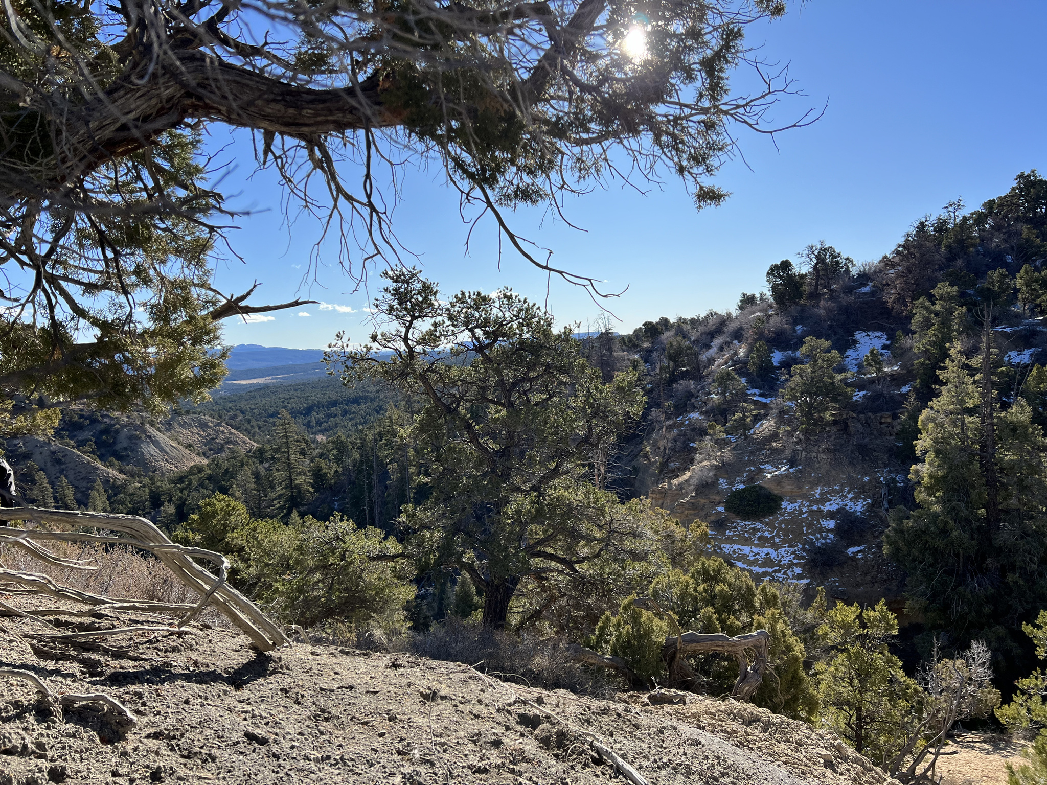 DEER SPRINGS RANCH PLAT B - Land