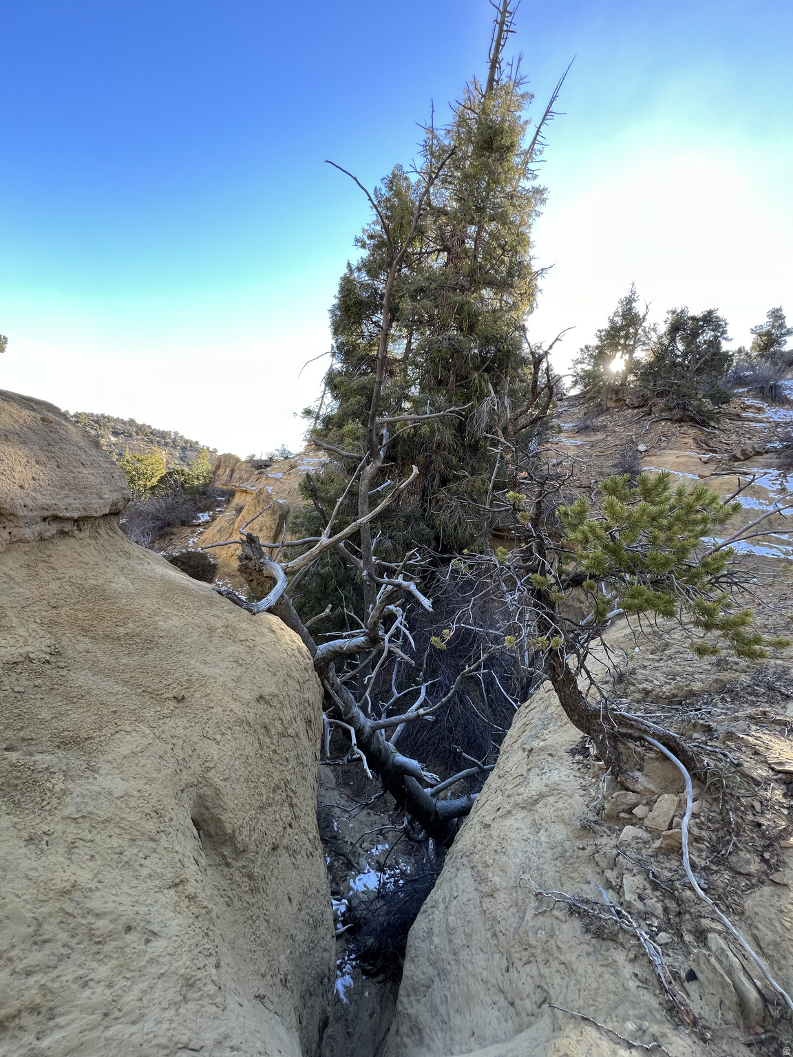 DEER SPRINGS RANCH PLAT B - Land