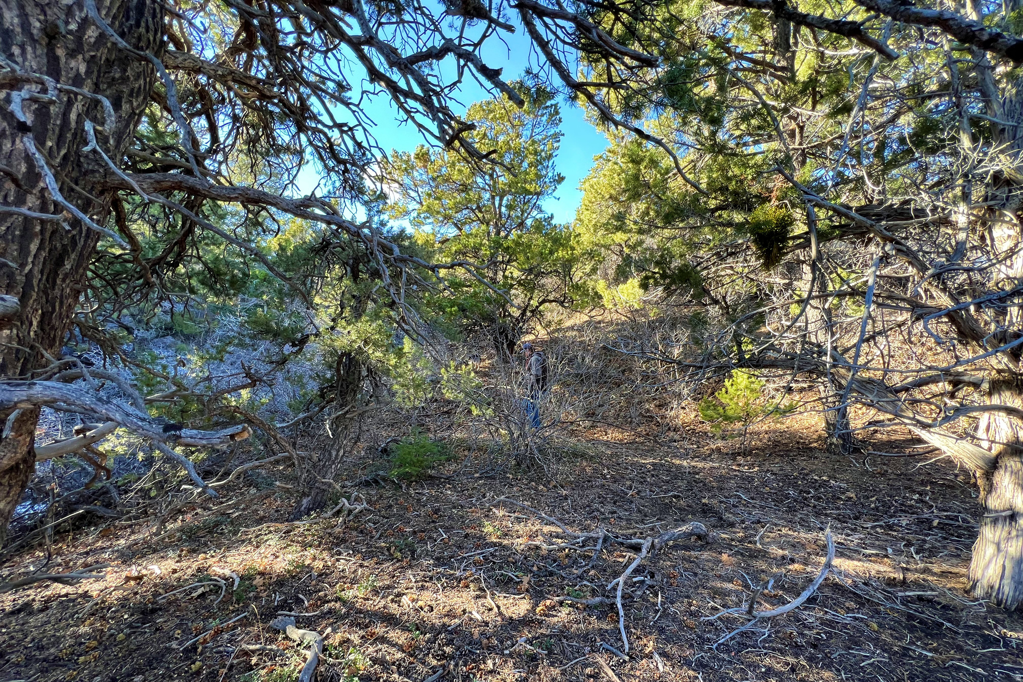 DEER SPRINGS RANCH PLAT B - Land