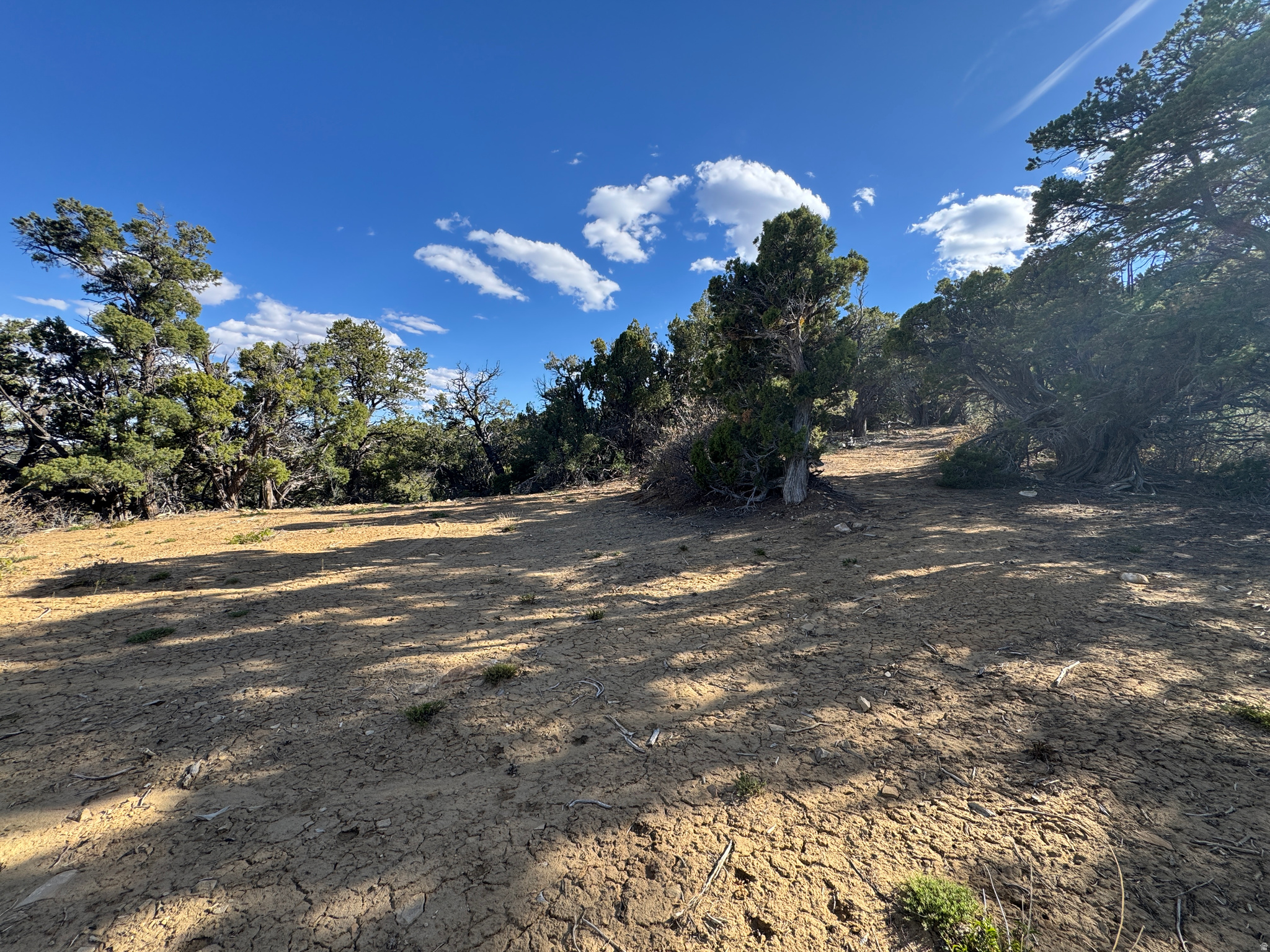 DEER SPRINGS RANCH PLAT B - Land