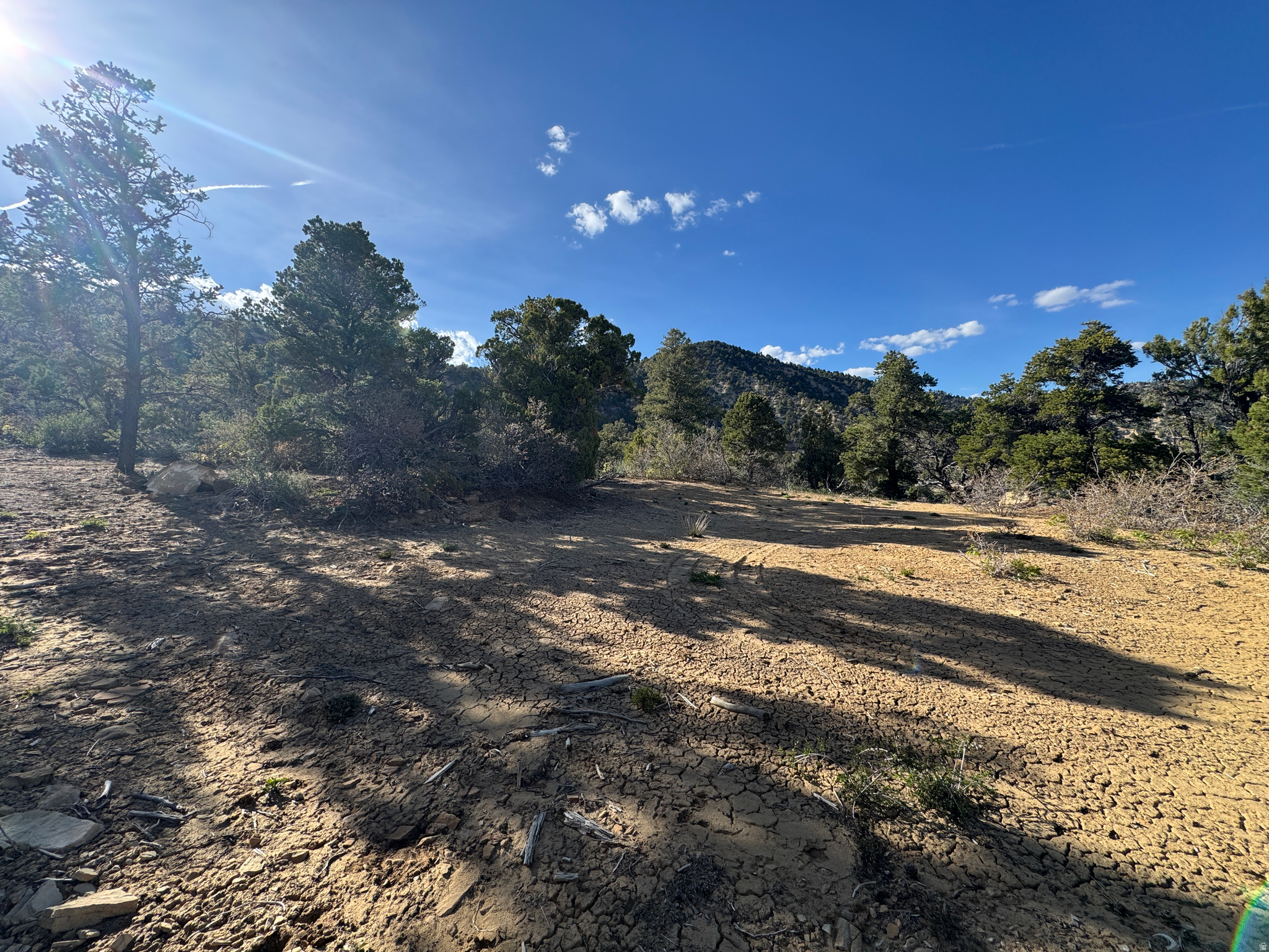 DEER SPRINGS RANCH PLAT B - Land