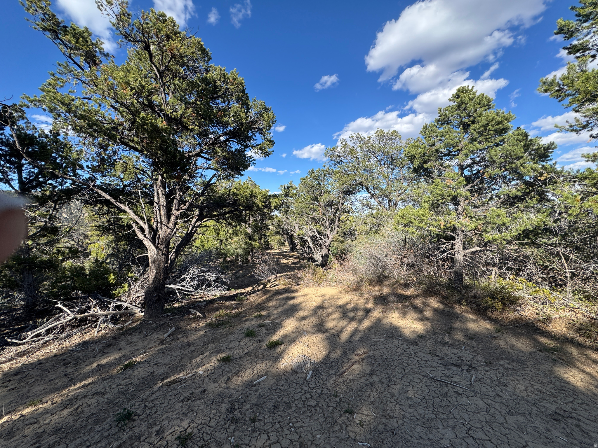 DEER SPRINGS RANCH PLAT B - Land