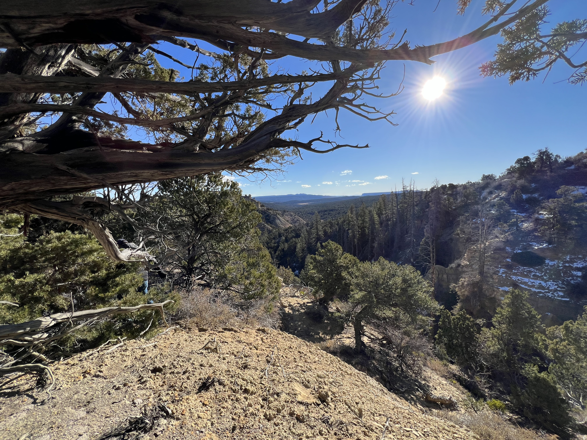 DEER SPRINGS RANCH PLAT B - Land