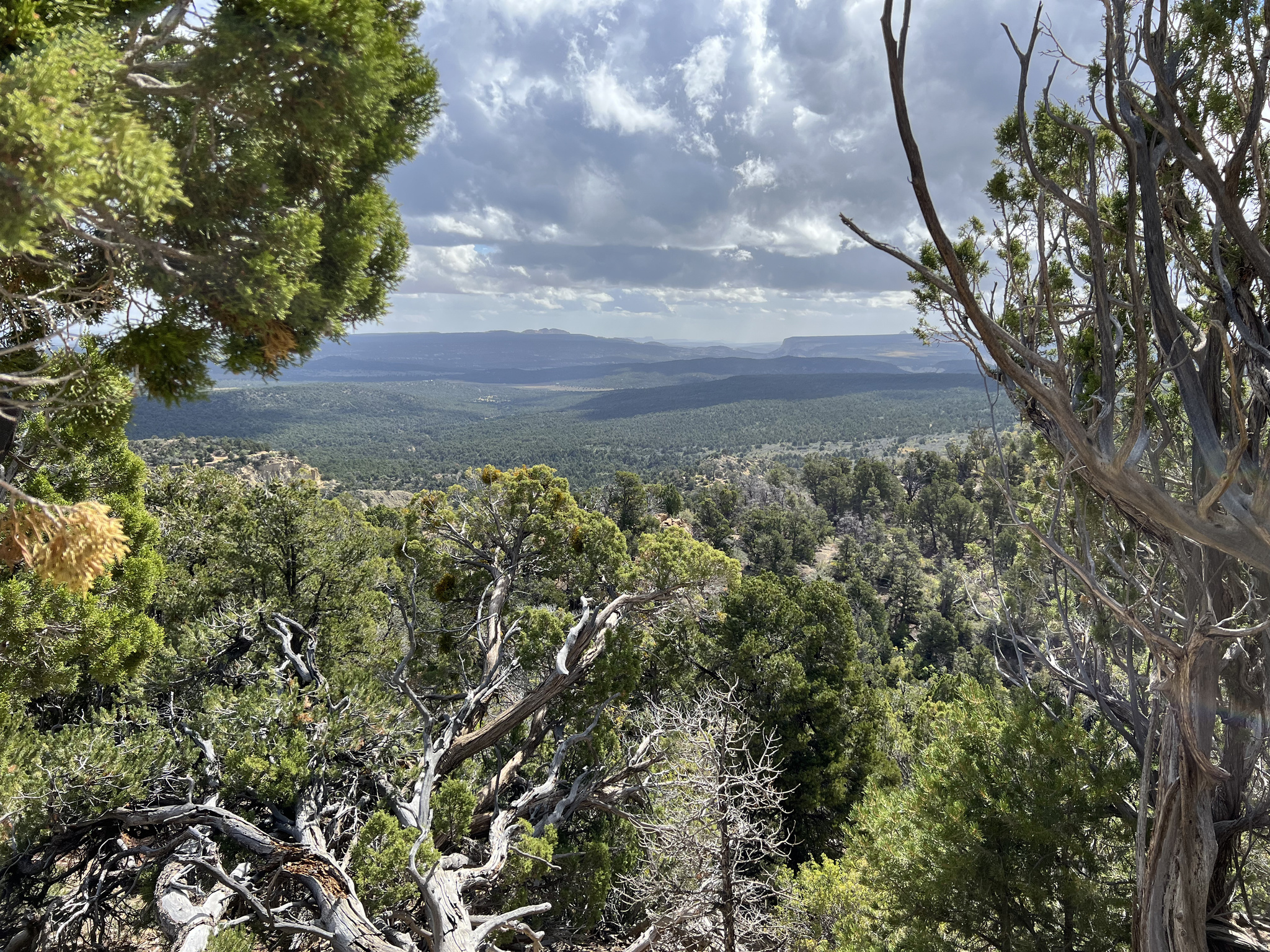 DEER SPRINGS RANCH PLAT B - Land
