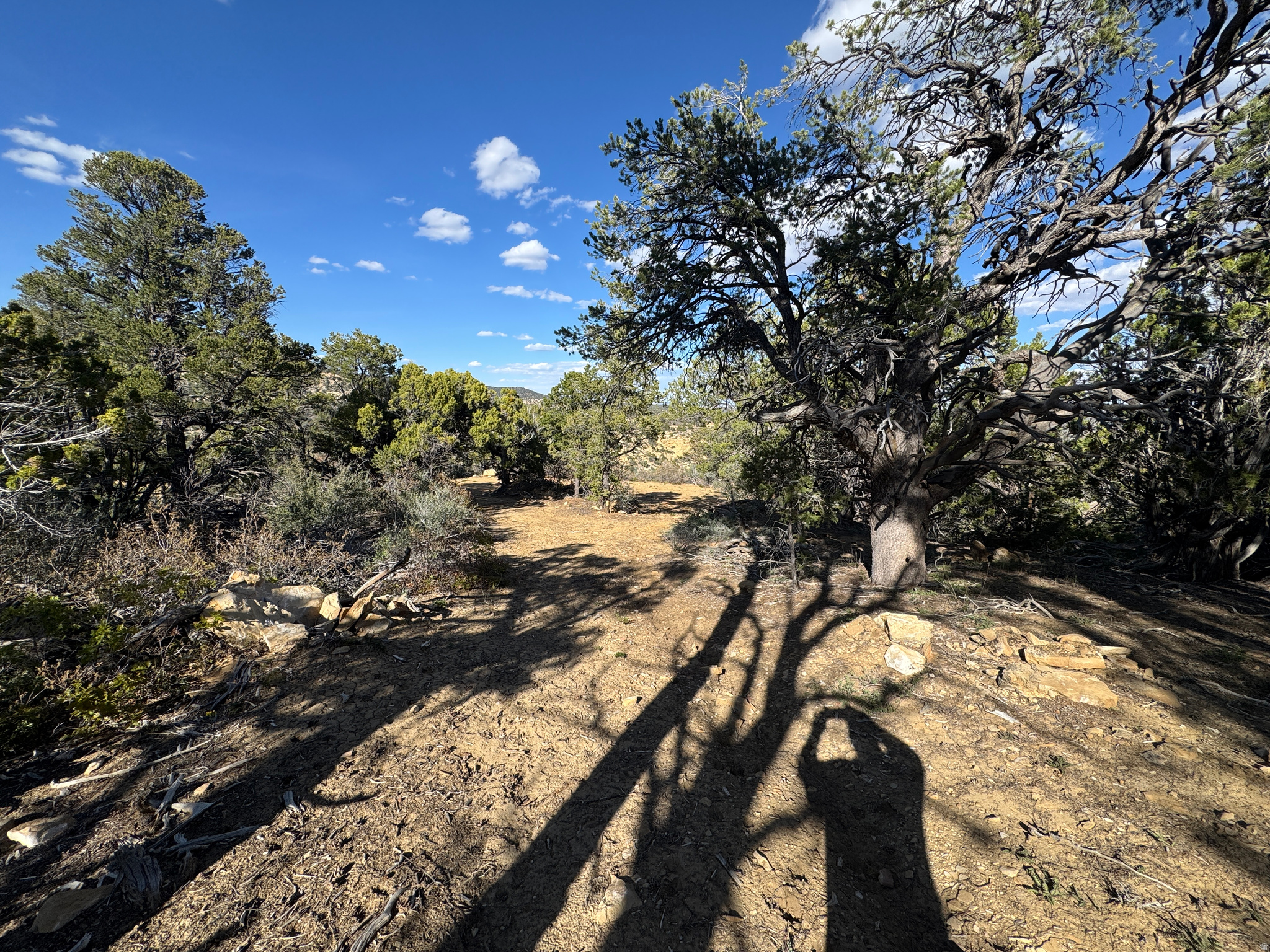 DEER SPRINGS RANCH PLAT B - Land