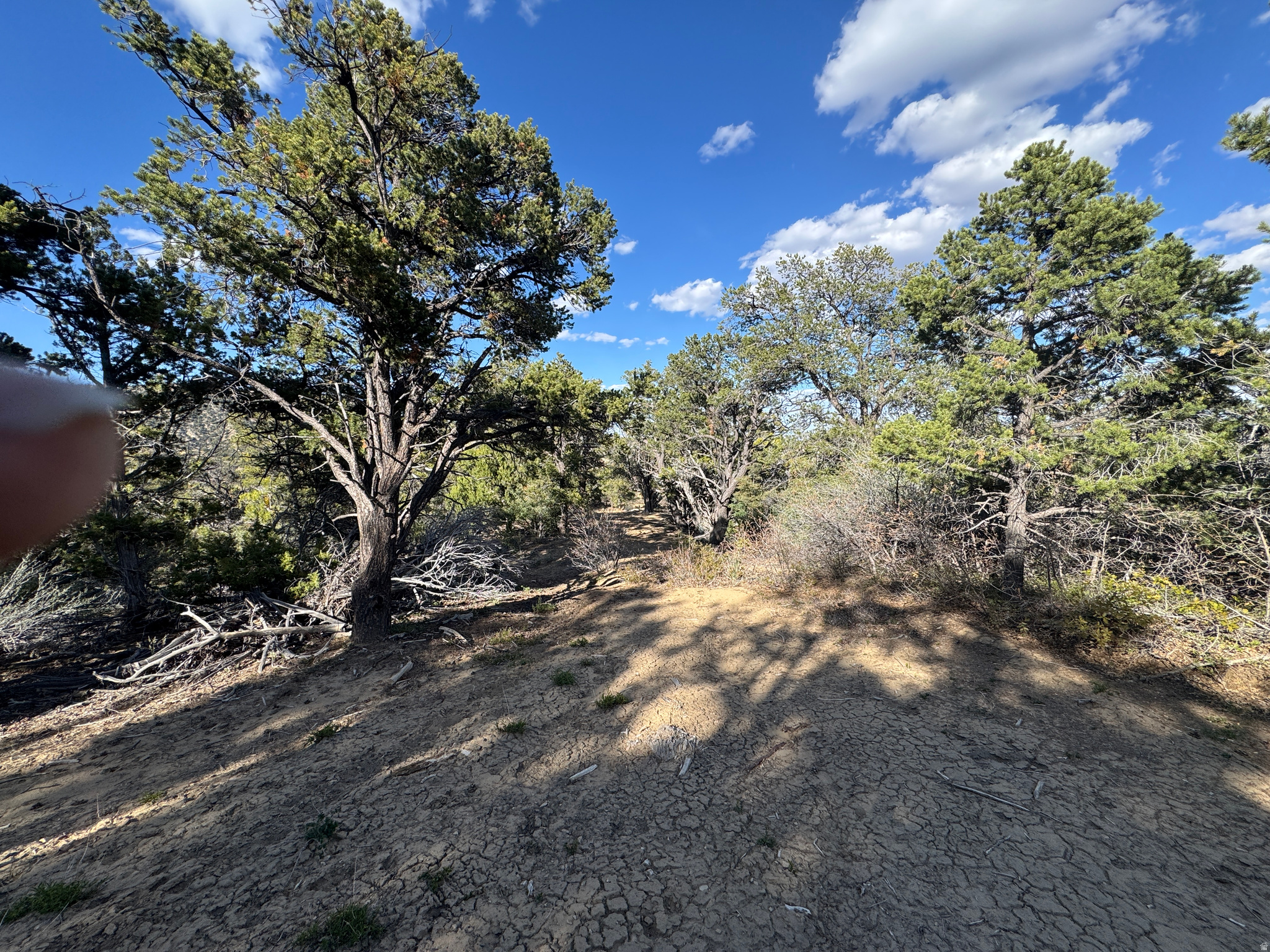 DEER SPRINGS RANCH PLAT B - Land
