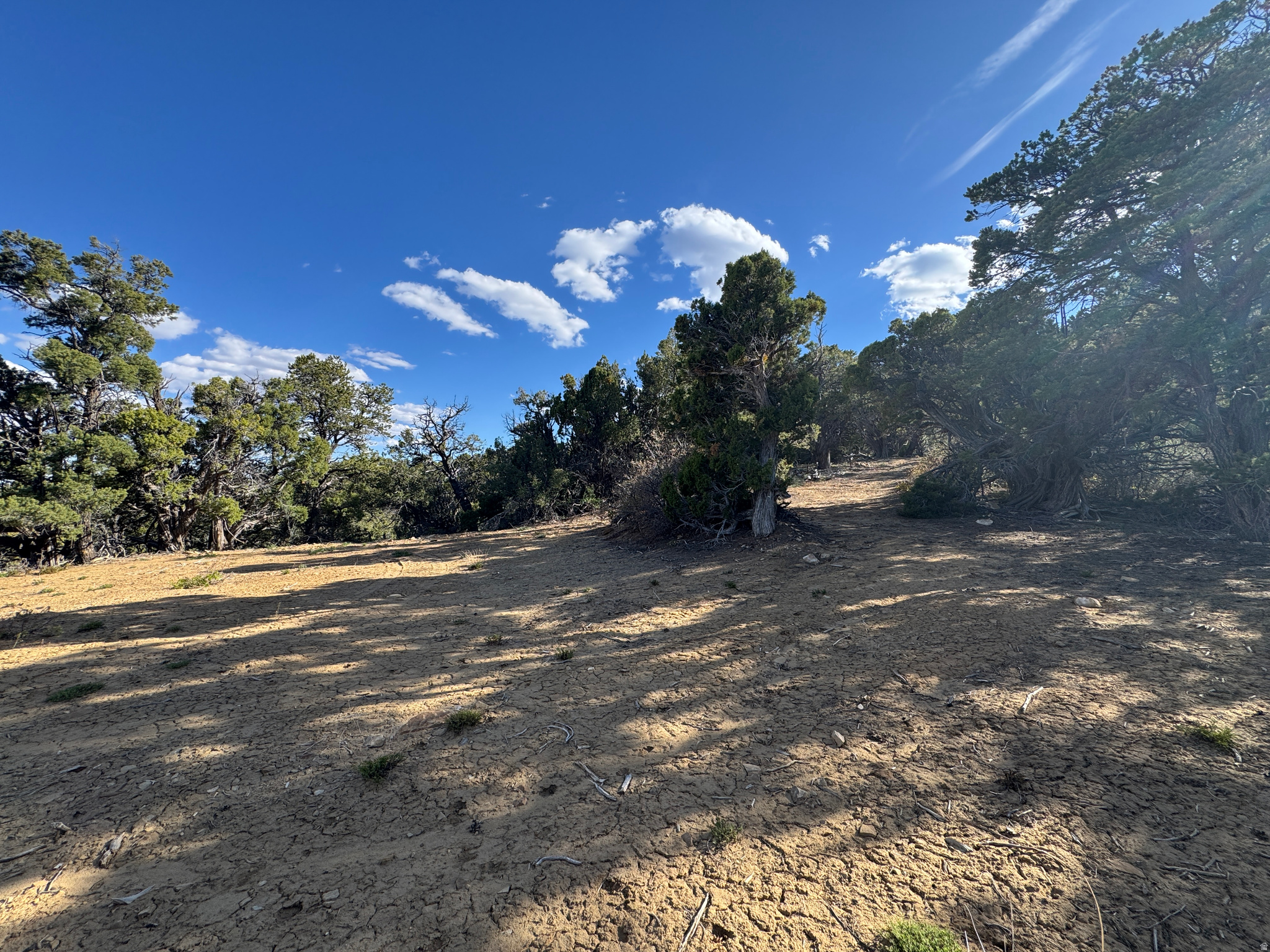 DEER SPRINGS RANCH PLAT B - Land