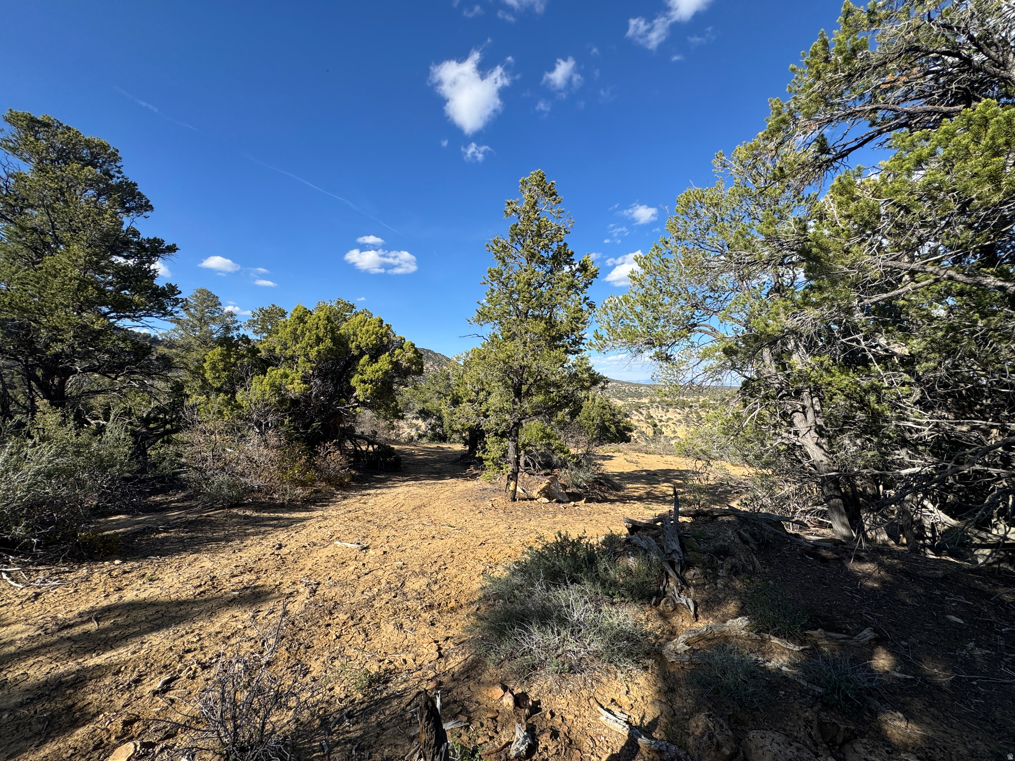 DEER SPRINGS RANCH PLAT B - Land