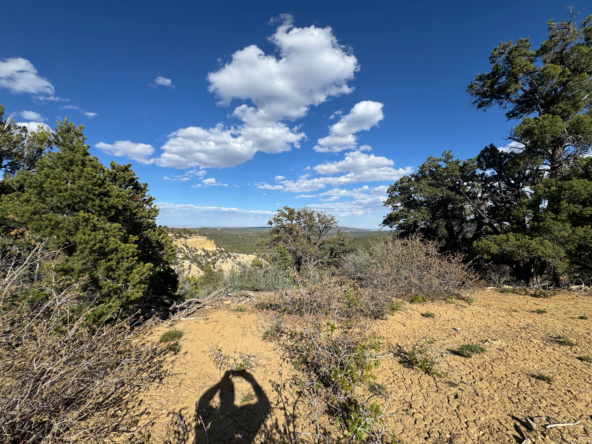 DEER SPRINGS RANCH PLAT B - Land