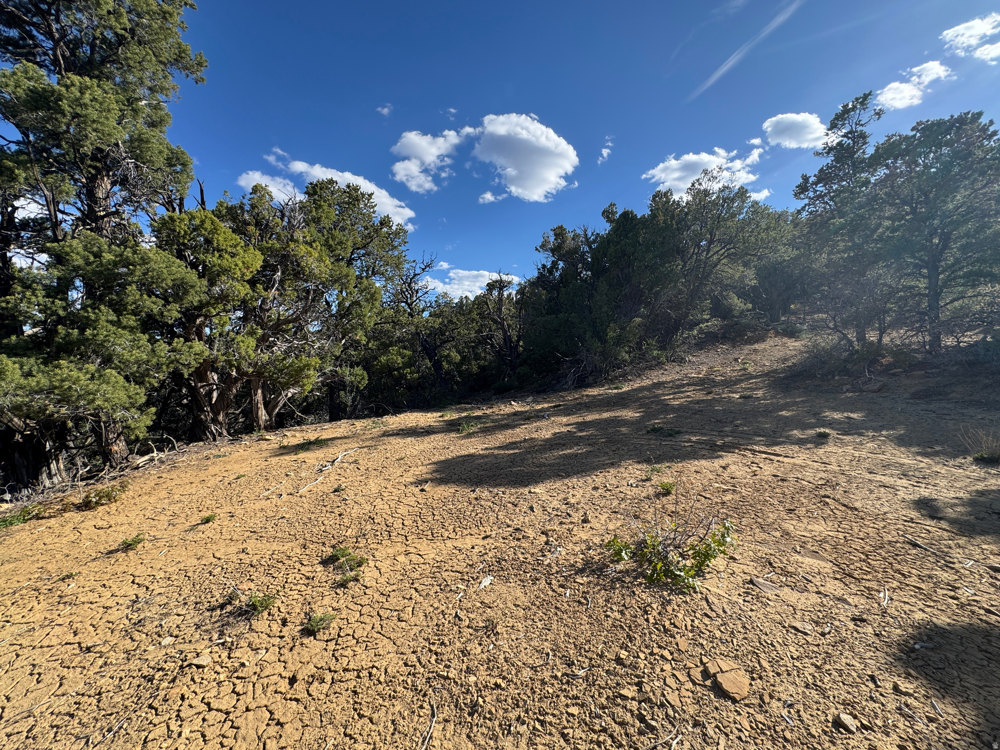 DEER SPRINGS RANCH PLAT B - Land