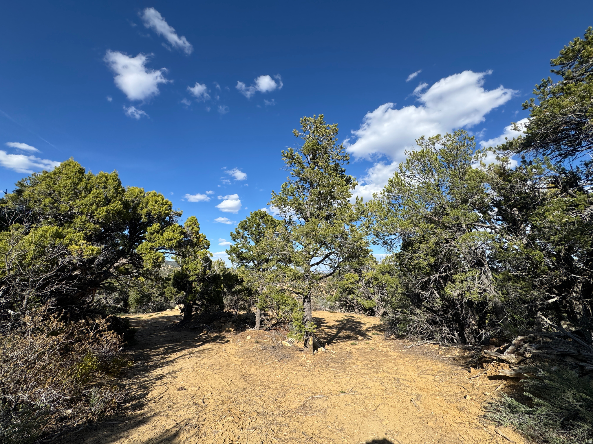 DEER SPRINGS RANCH PLAT B - Land