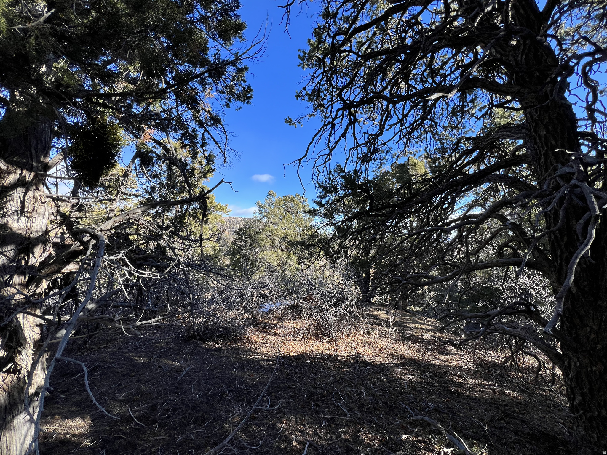 DEER SPRINGS RANCH PLAT B - Land