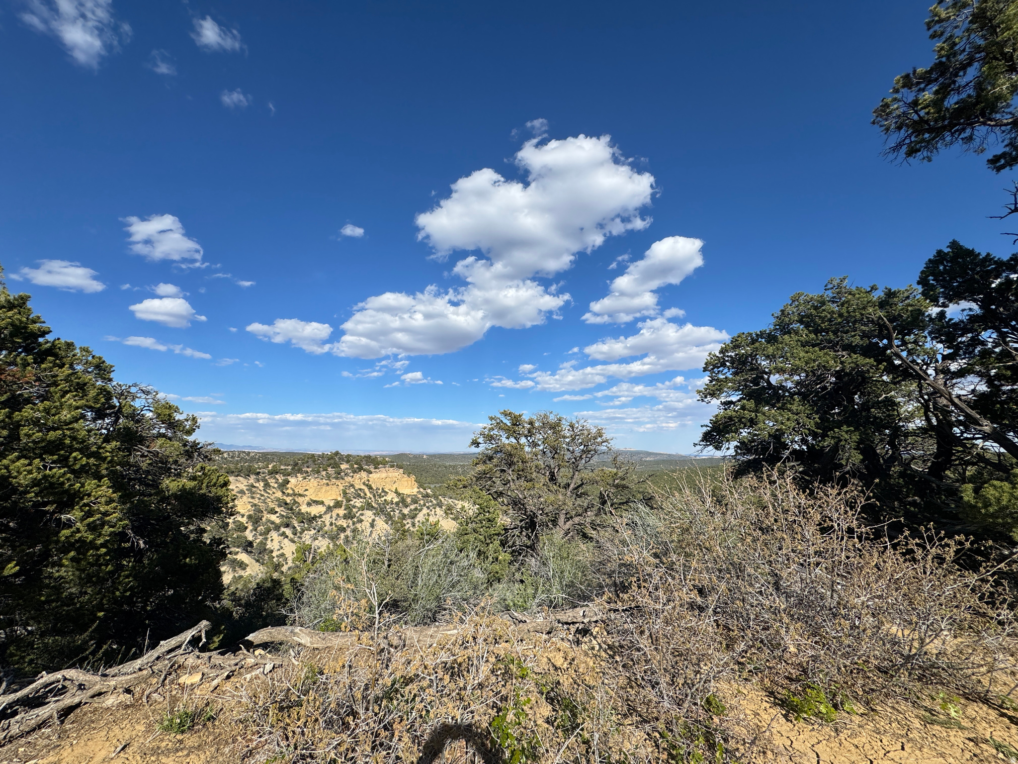 DEER SPRINGS RANCH PLAT B - Land