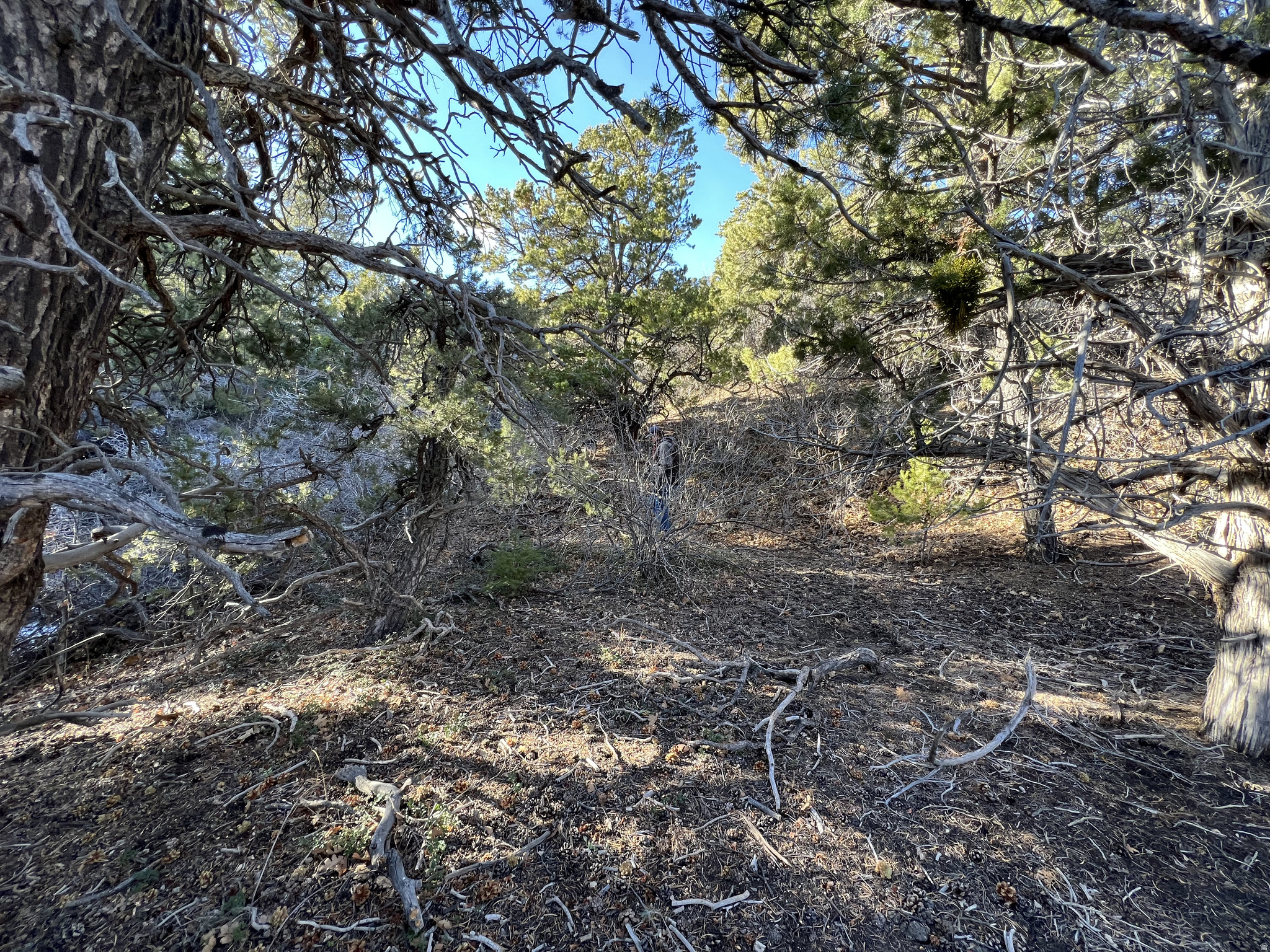 DEER SPRINGS RANCH PLAT B - Land