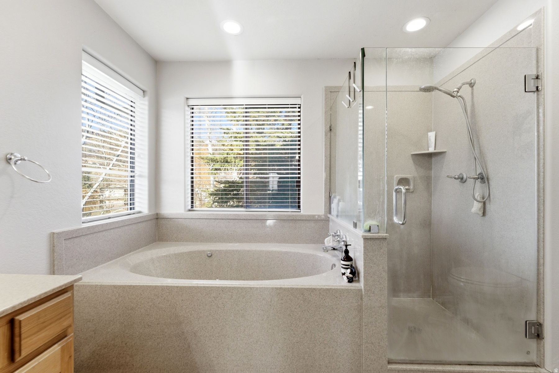 SOUTH SHORE AT SILVER SPRINGS SUBDIVISIO - Residential