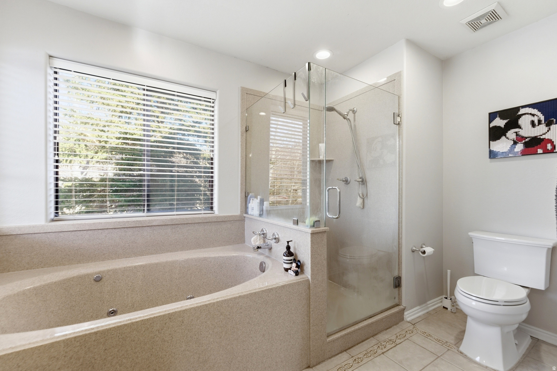 SOUTH SHORE AT SILVER SPRINGS SUBDIVISIO - Residential